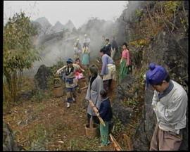 鱼公主红鲤公主