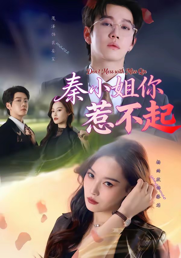 秦小姐你惹不起